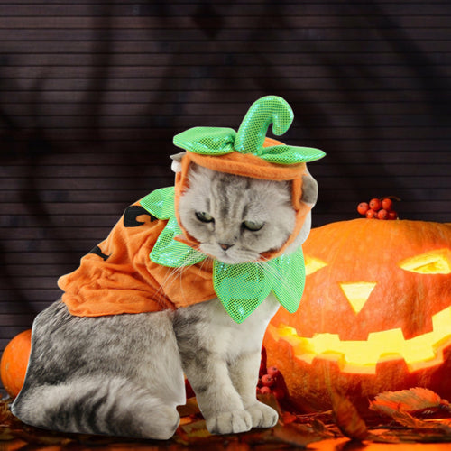 Pumpkin Cat Costume Hat - close-up view