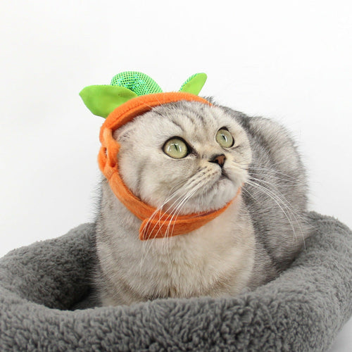 Pumpkin Cat Costume Hat - in-use view