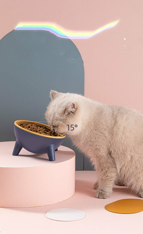 Raised Pet Feeding Bowl Set - in-use view