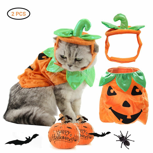 Pumpkin Cat Costume Hat - main product view