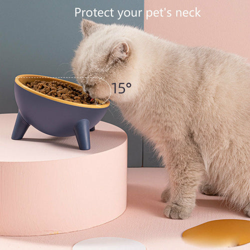 Raised Pet Feeding Bowl Set - detail view