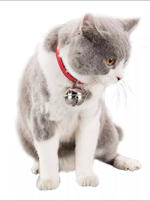 Leather Pet Collar with Bell - main product view