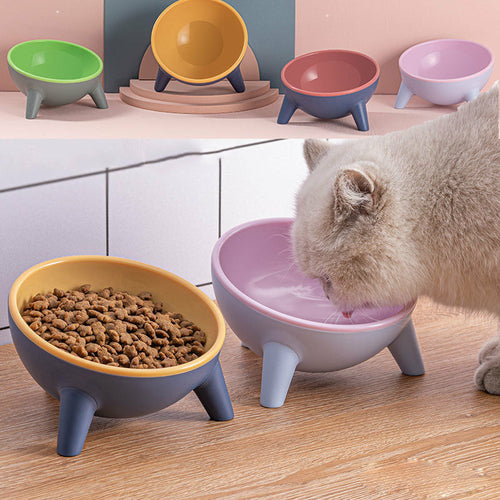 Raised Pet Feeding Bowl Set - main product view