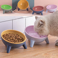 Raised Pet Feeding Bowl Set - main product view