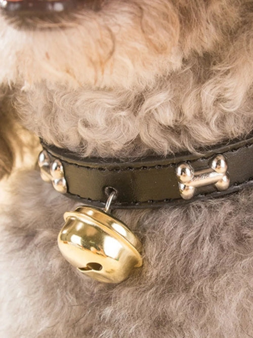 Leather Pet Collar with Bell - color option view