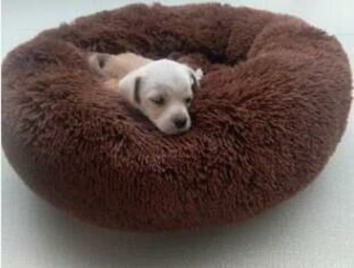 Ultra-Soft Donut Pet Bed - product view 17