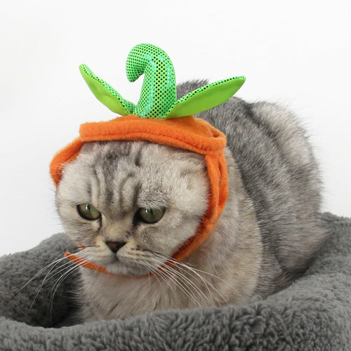 Pumpkin Cat Costume Hat - detail view
