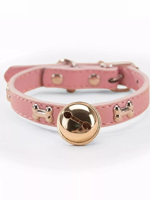 Leather Pet Collar with Bell - lifestyle view