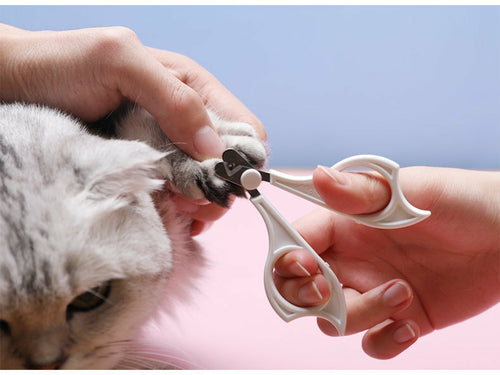 Pet Deshedding Comb Set - close-up view
