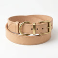 Heritage natural leather dog collar with brass hardware on white background