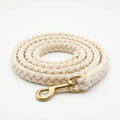 Hand-braided cream cotton dog leash with brass swivel snap hook on white background
