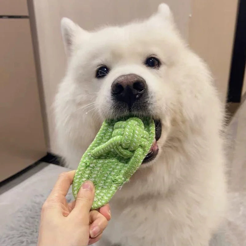 Cotton Rope Slipper Chew Toy for Small Dogs - color option view