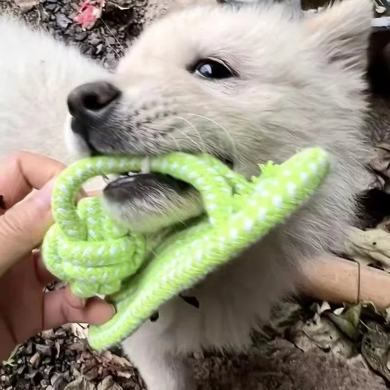 Cotton Rope Slipper Chew Toy for Small Dogs - lifestyle view