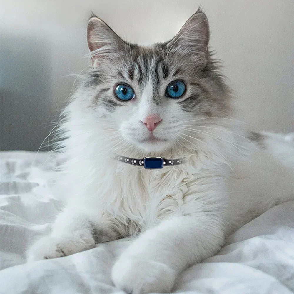 Mini Pet Location Tracker Collar - in-use view