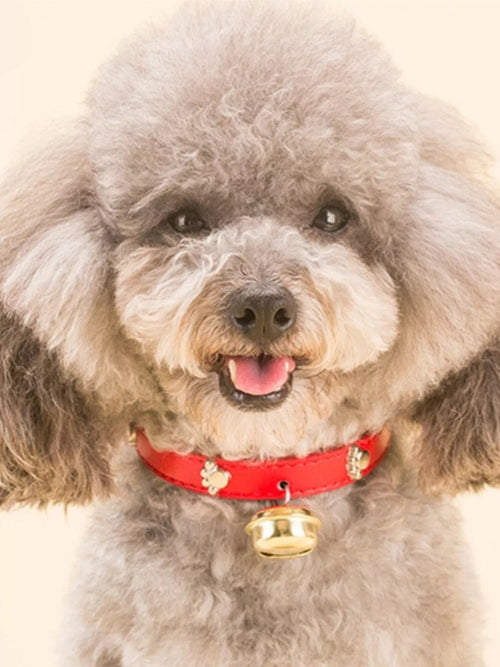 Leather Pet Collar with Bell - close-up view