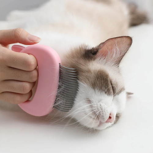 Pet Massage Grooming Brush - in-use view