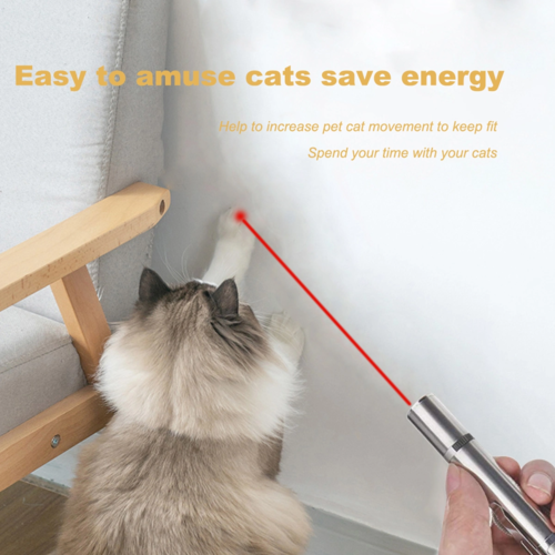 LED Pointer Cat Toy - detail view