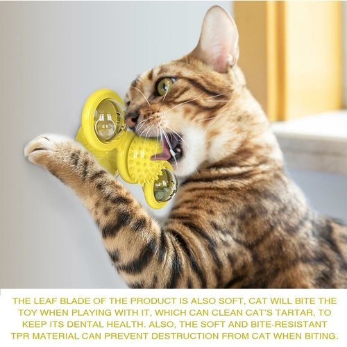 Whirling LED Cat Ball Toy - in-use view